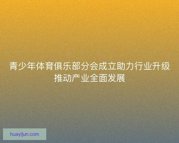 青少年体育俱乐部分会成立助力行业升级推动产业全面发展